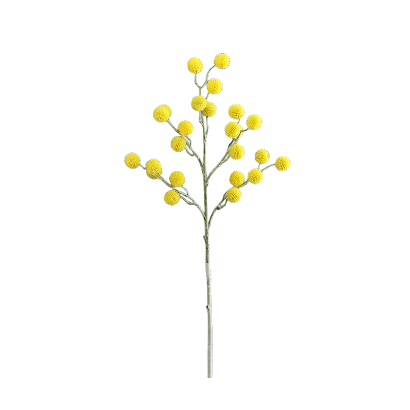 Fleurs de Craspedia Billy Balls en vrac de 28 pouces Branches Boho Floral Wholesale 