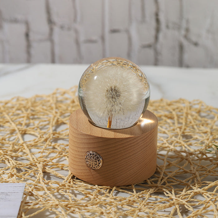 Los regalos de bola de cristal de diente de león conservados a granel iluminan el ornamento al por mayor 