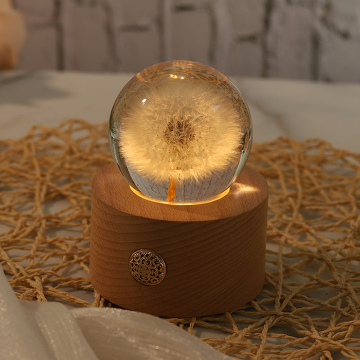 Los regalos de bola de cristal de diente de león conservados a granel iluminan el ornamento al por mayor 