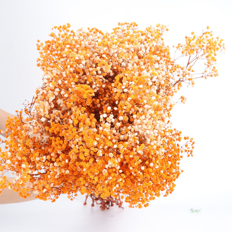 Lot de 1 bouquet de fleurs de gypsophile séchées pour mariage, arrangement floral, décoration de fête à domicile, vente en gros