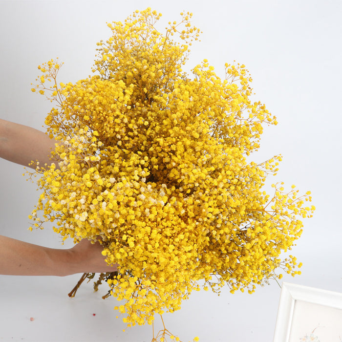 A granel 1 paquete de flores gitanas de aliento de bebé seco para arreglo Floral de boda decoración de fiesta en casa al por mayor