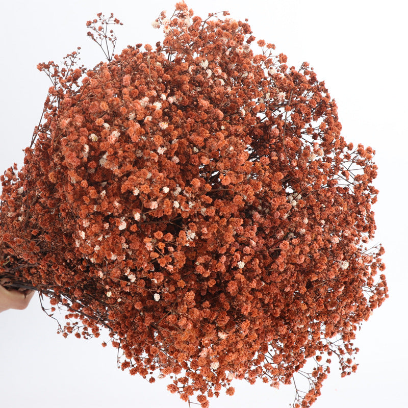 Lot de 1 bouquet de fleurs de gypsophile séchées pour mariage, arrangement floral, décoration de fête à domicile, vente en gros