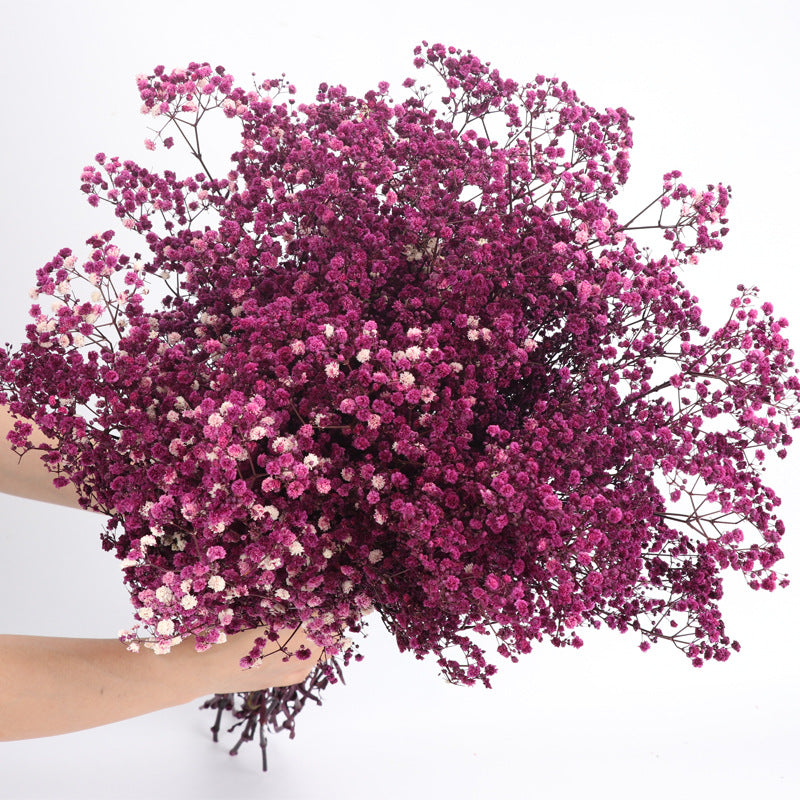 Lot de 1 bouquet de fleurs de gypsophile séchées pour mariage, arrangement floral, décoration de fête à domicile, vente en gros