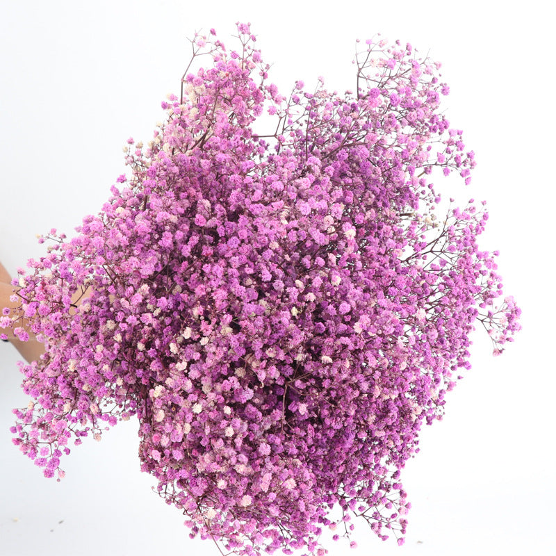 Lot de 1 bouquet de fleurs de gypsophile séchées pour mariage, arrangement floral, décoration de fête à domicile, vente en gros