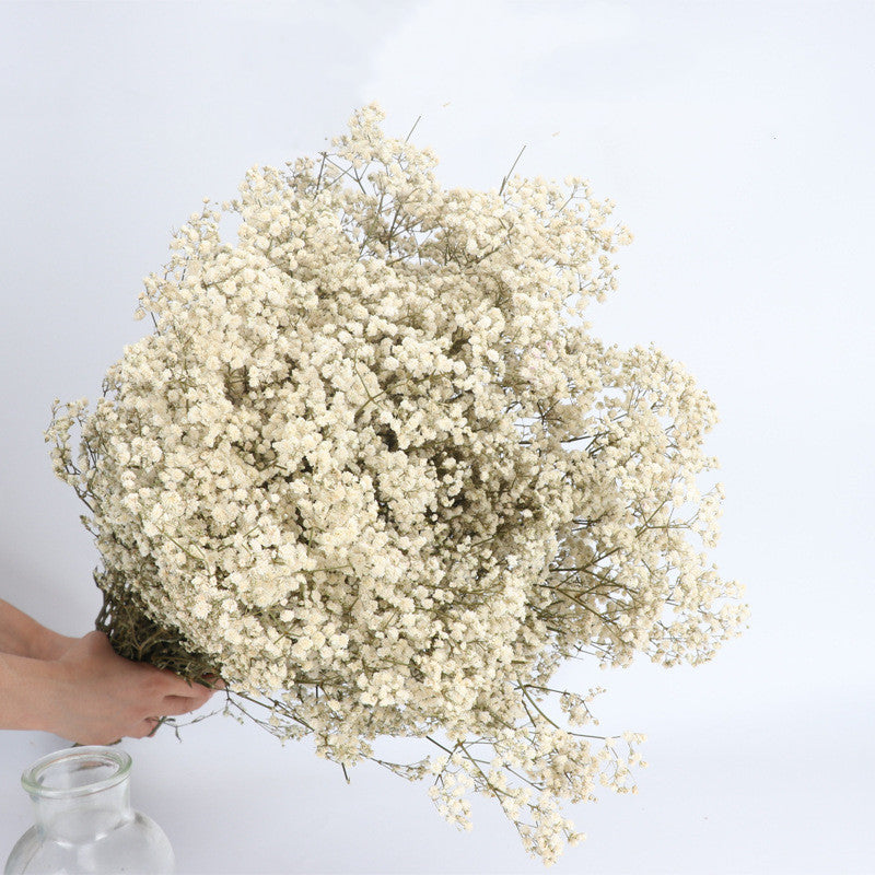 Lot de 1 bouquet de fleurs de gypsophile séchées pour mariage, arrangement floral, décoration de fête à domicile, vente en gros