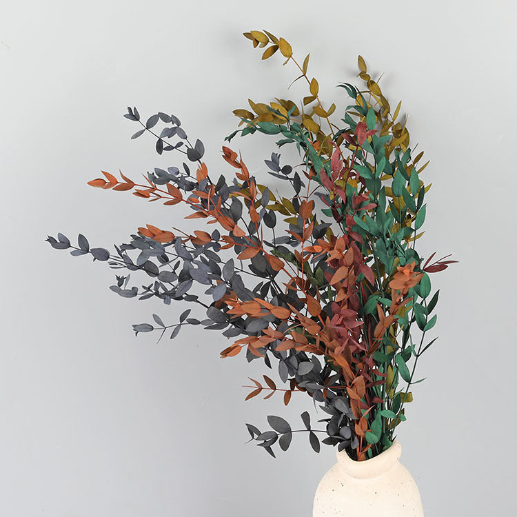 Bulk Preserved Eucalyptus Stems Bundles for Crafts Wholesale