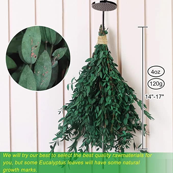 Bulk Preserved Eucalyptus Stems Bundles for Crafts Wholesale