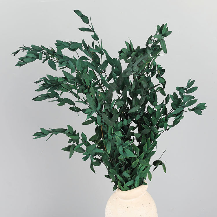 Bulk Preserved Eucalyptus Stems Bundles for Crafts Wholesale