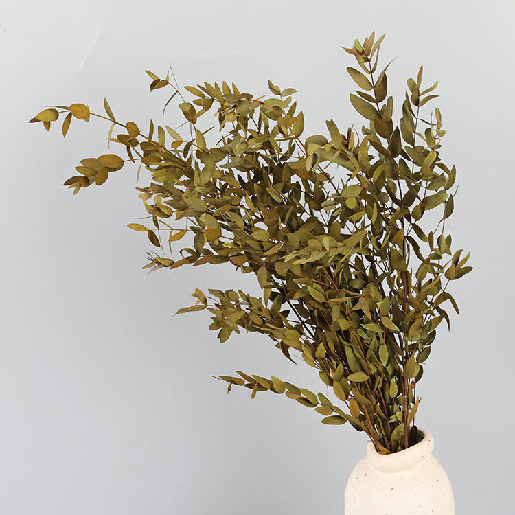 Bulk Preserved Eucalyptus Stems Bundles for Crafts Wholesale