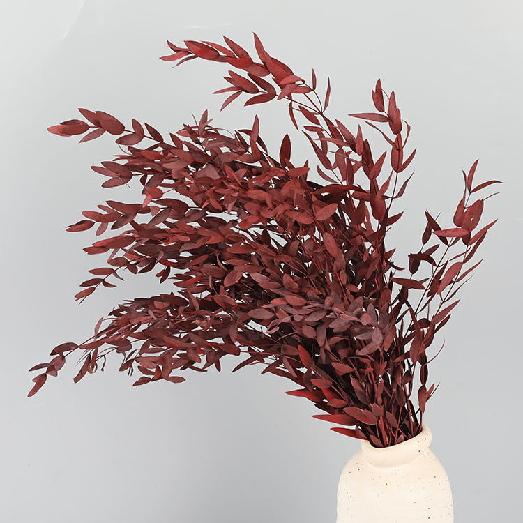 Bulk Preserved Eucalyptus Stems Bundles for Crafts Wholesale