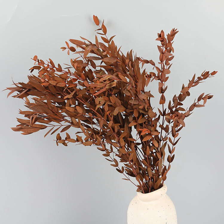 Bulk Preserved Eucalyptus Stems Bundles for Crafts Wholesale