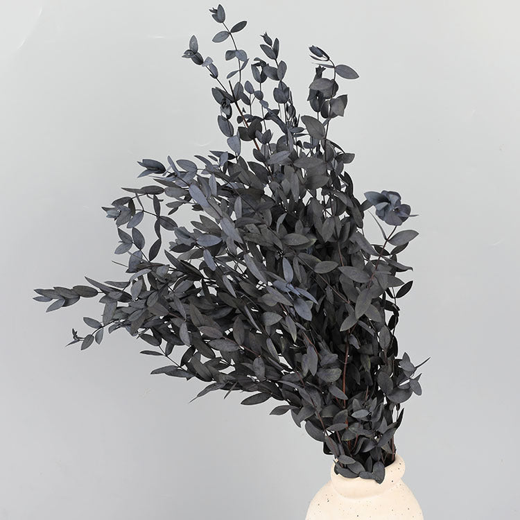 Bulk Preserved Eucalyptus Stems Bundles for Crafts Wholesale