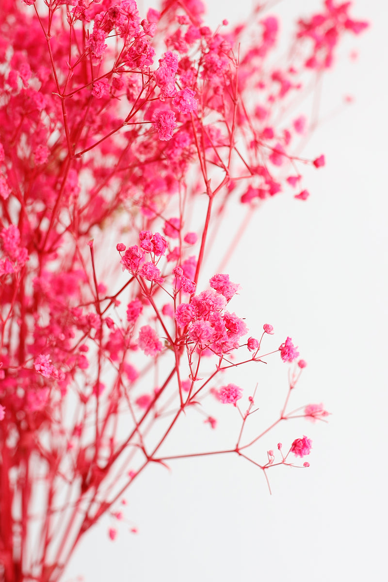 Lot de 1 bouquet de fleurs de gypsophile séchées pour mariage, arrangement floral, décoration de fête à domicile, vente en gros