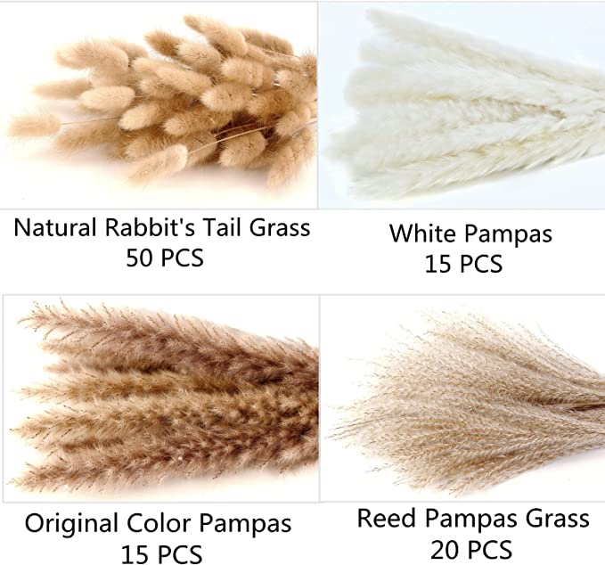 Bulk 17 "100 PCS Pampas Grass Pampas Grass Decor Bunny Tails Reed Grass Bouquet Arreglos florales al por mayor