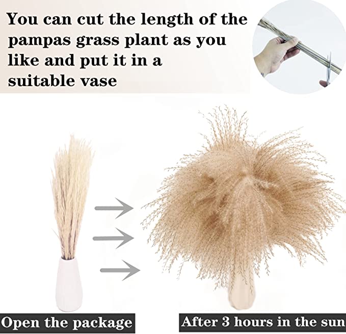 Bulk 17 "100 PCS Pampas Grass Pampas Grass Decor Bunny Tails Reed Grass Bouquet Arreglos florales al por mayor