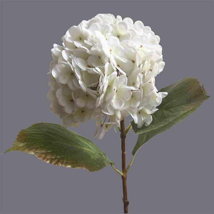 Venta al por mayor de flores de otoño e invierno de tallos de hortensia Real Touch de 21 "a granel 