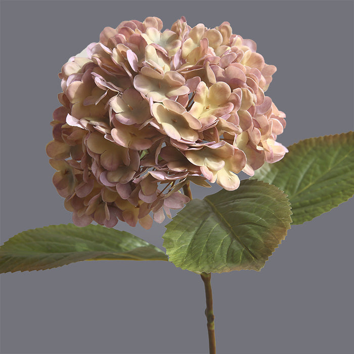 Venta al por mayor de flores de otoño e invierno de tallos de hortensia Real Touch de 21 "a granel 