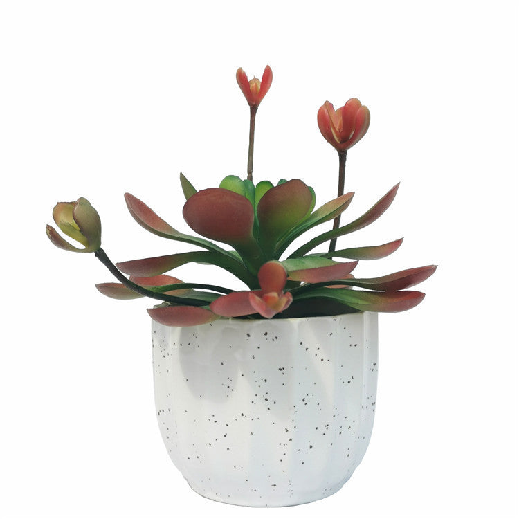 Bulk Mini Artificial Potted Succulent Plants in Vase Wholesale
