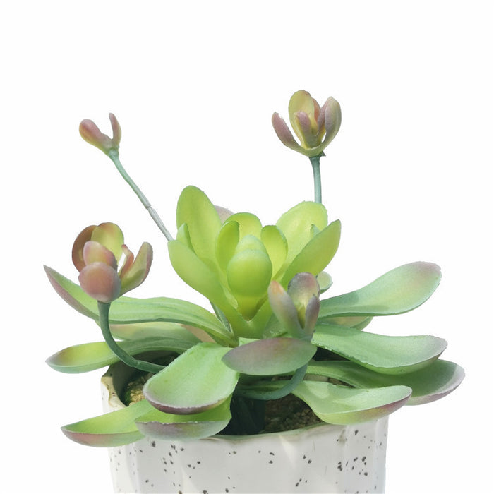 Bulk Mini Artificial Potted Succulent Plants in Vase Wholesale