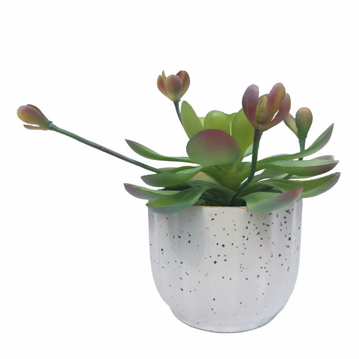 Bulk Mini Artificial Potted Succulent Plants in Vase Wholesale