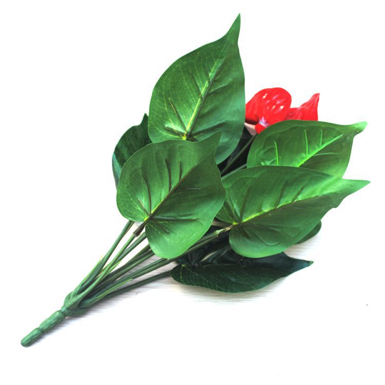 Bulk 12" Red Anthurium Bush Flamingo Plant Resistente a los rayos UV al por mayor 