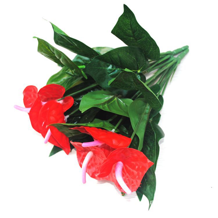 Bulk 12" Red Anthurium Bush Flamingo Plant Resistente a los rayos UV al por mayor 
