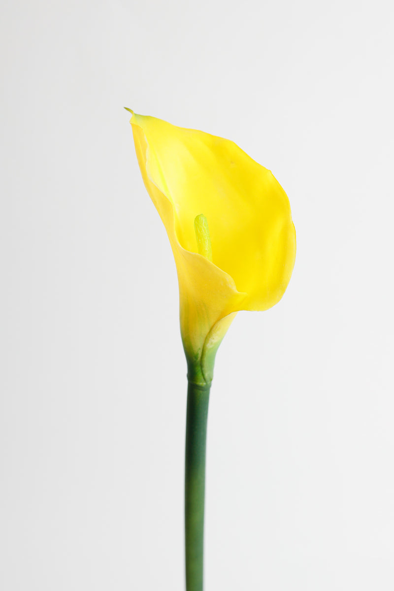 Premium Real Touch Calla Lily Stem