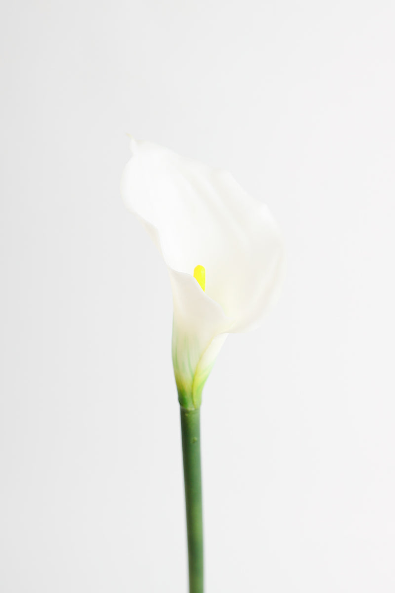 Premium Real Touch Calla Lily Stem
