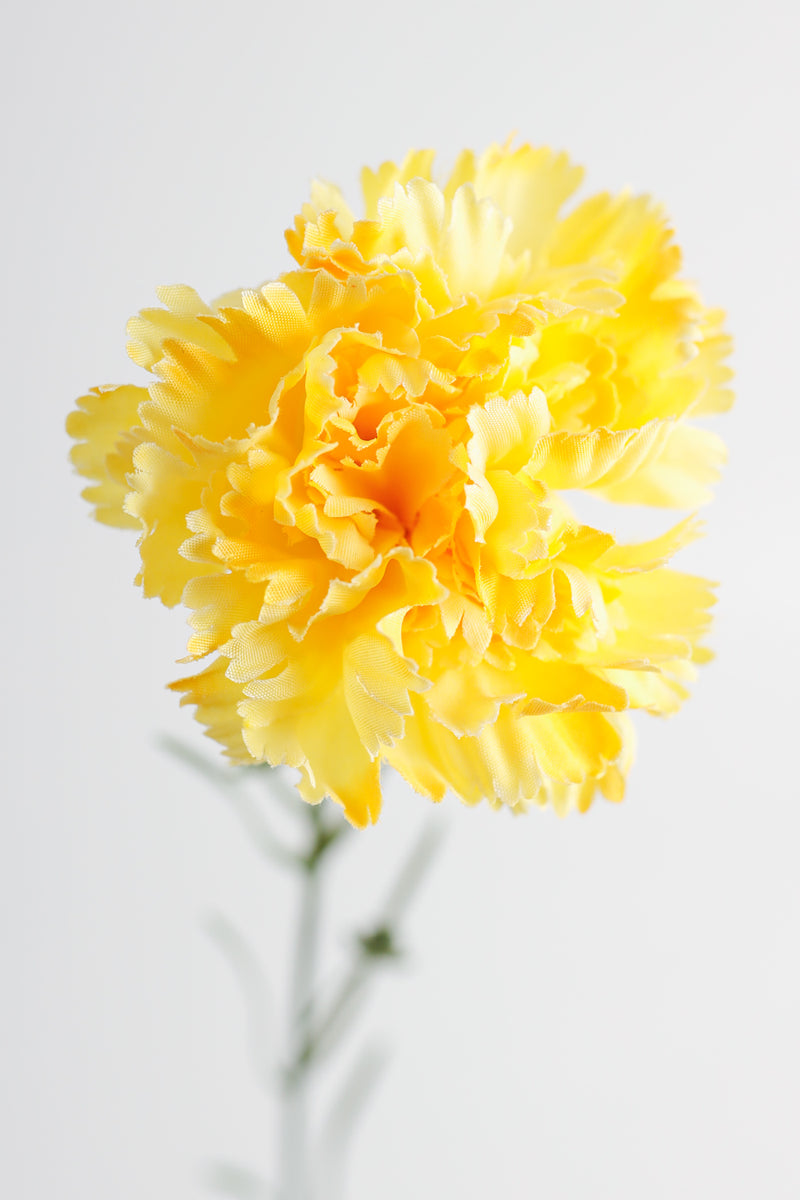 Œillets artificiels AM Basics 19 pouces