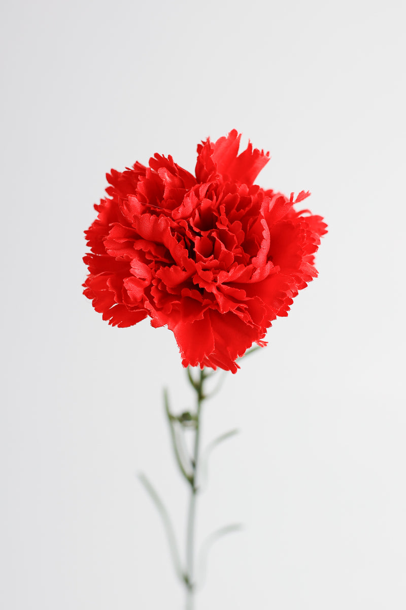 Œillets artificiels AM Basics 19 pouces