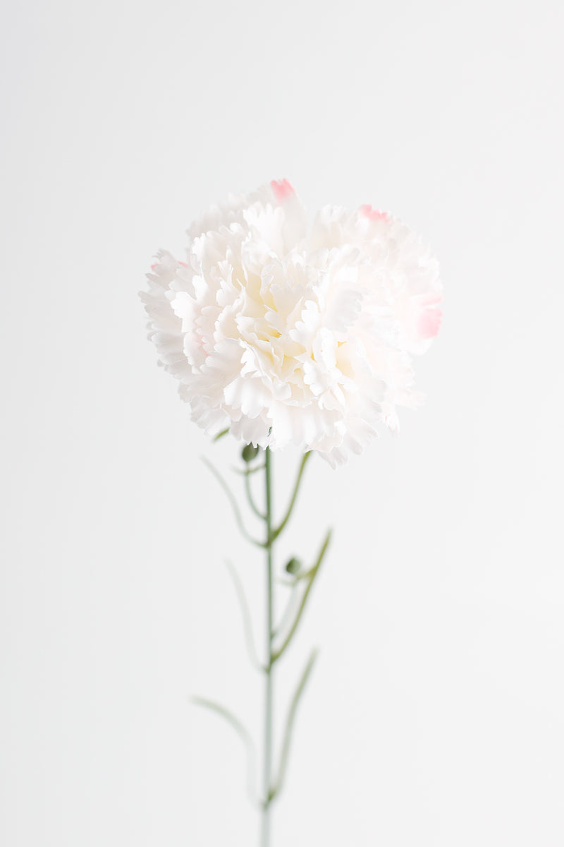 Œillets artificiels AM Basics 19 pouces