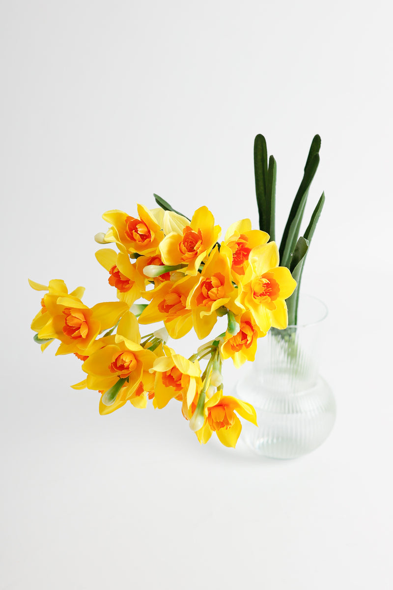 AM Basics 17" Jonquilles artificielles Fleurs Faux Narsissus Floral