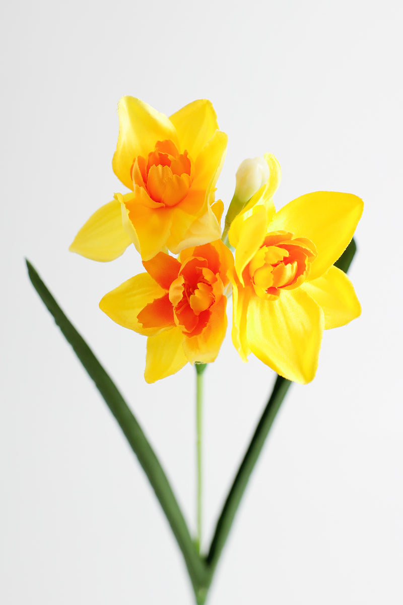 AM Basics 17" Jonquilles artificielles Fleurs Faux Narsissus Floral