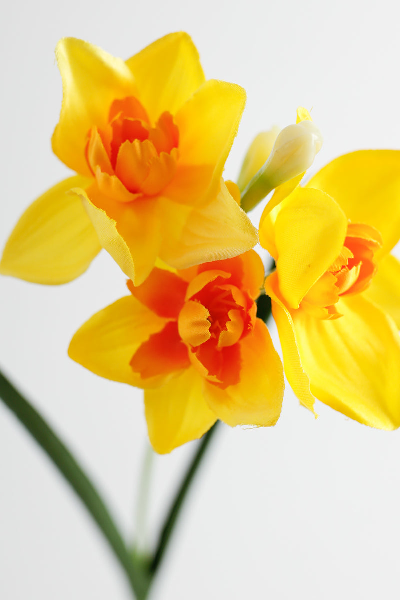 AM Basics 17" Jonquilles artificielles Fleurs Faux Narsissus Floral