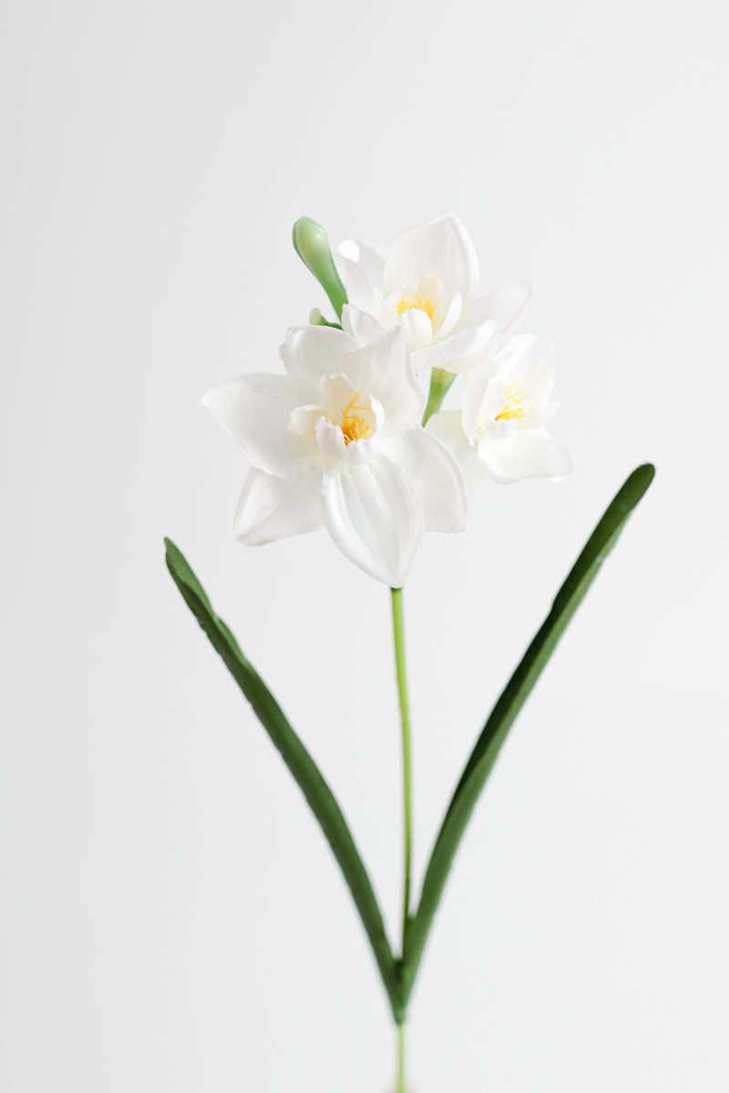 AM Basics 17" Jonquilles artificielles Fleurs Faux Narsissus Floral