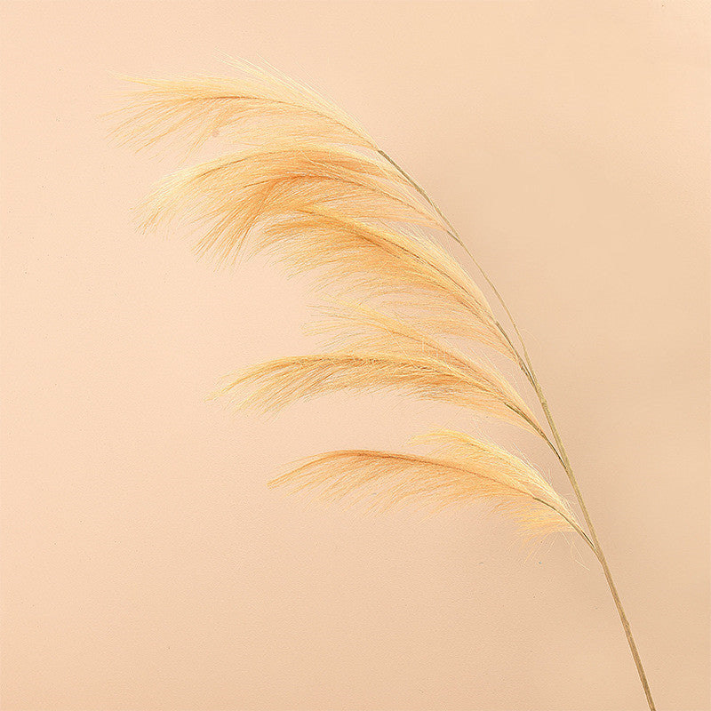 Granel Extra Grande 43 Pulgadas Faux Pampas Grass Stem Venta al por mayor 