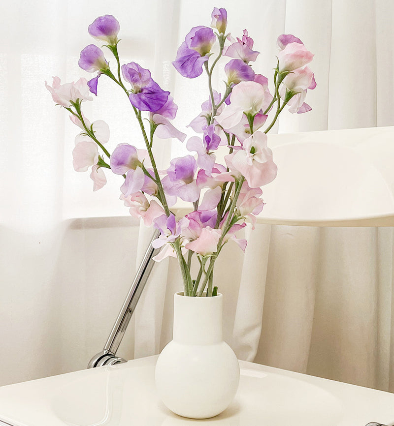 2 branches de fleurs de pois de senteur en soie artificielle 