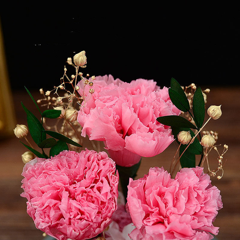 Limited Luxury Forever Preserved Flower Carnation Gifts for Mom