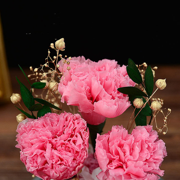 Regalos de clavel de flores preservadas para siempre de lujo limitado para mamá
