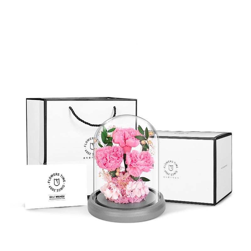 Limited Luxury Forever Preserved Flower Carnation Gifts for Mom