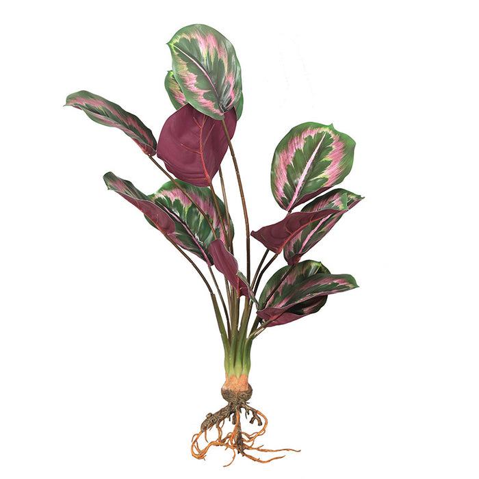 Plantas de hojas de arrurruz falsas realistas Plantas de vegetación de simulación de interior 