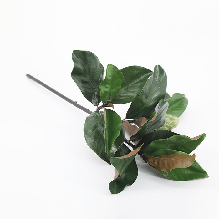 Bulk 26" Magnolia Leaf Stem With Bud Real Touch Wholesale