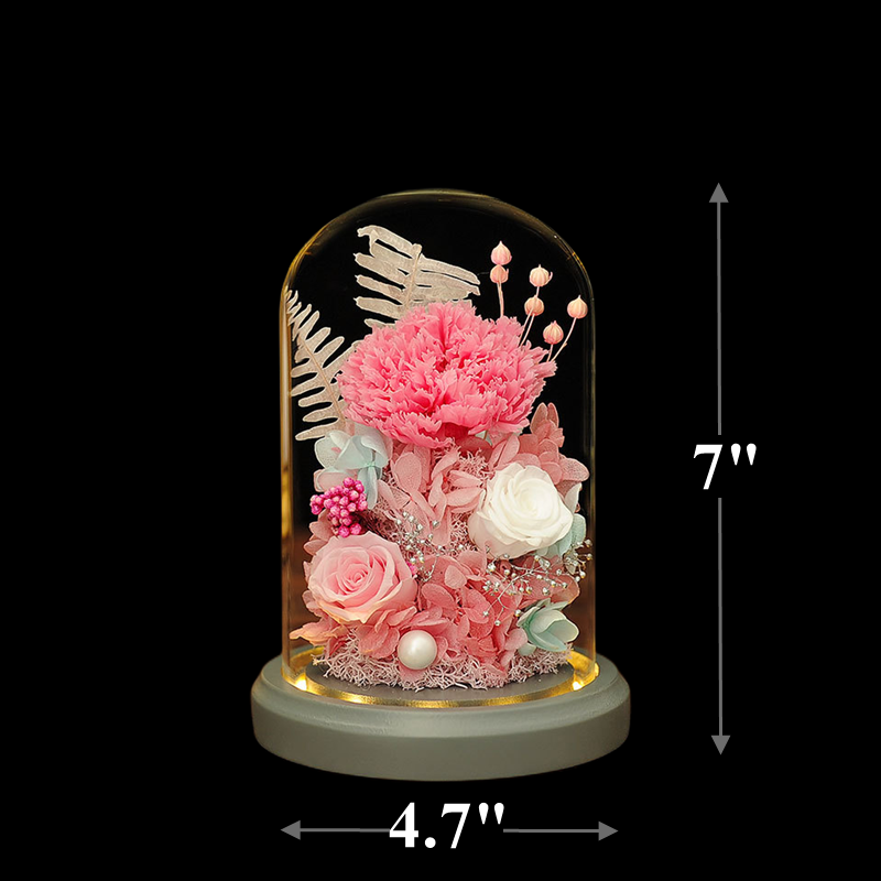 Bulk Forever Preserved Flower Carnation Gift for Women Wholesale
