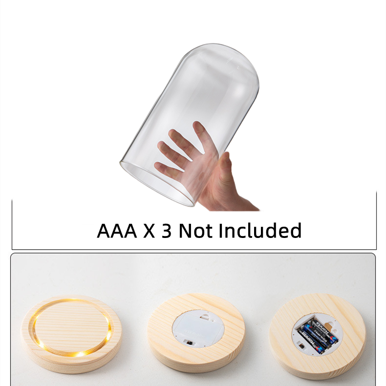 Bulk Light Up Clear Glass Display Dome DIY Gift Wholesale