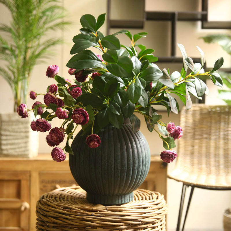 Plante de verdure en vrac 27" Feuille de Peperomia Tige de Ficus Vente en gros