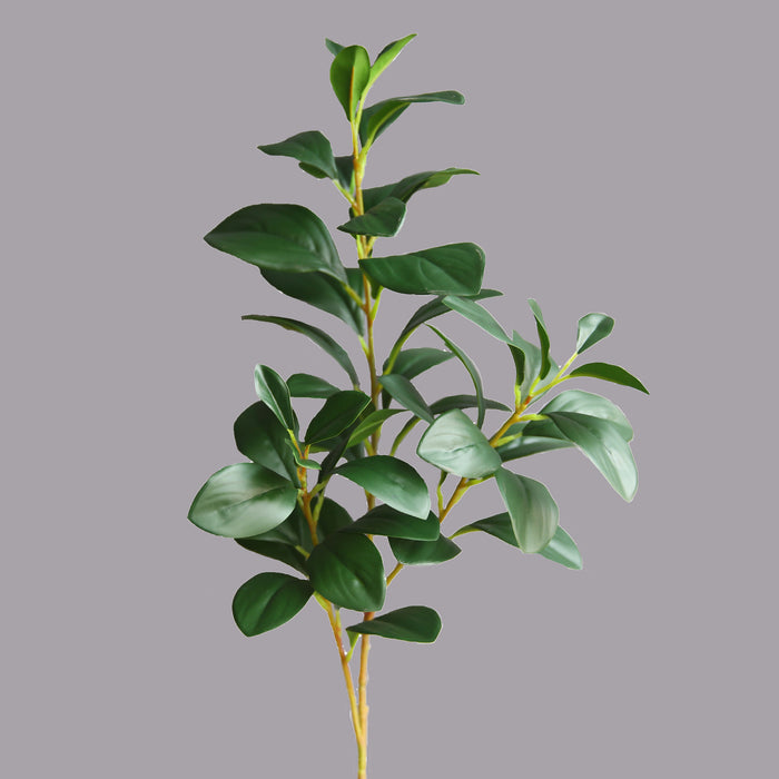 A granel 27 "planta verde Peperomia hoja Ficus tallo al por mayor