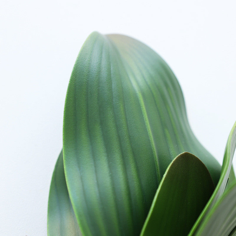 Bulk Artificial Phalaenopsis Orchid Leaves Real Latex Touch Plants Wholesale