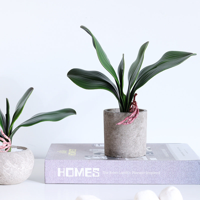 Bulk Artificial Phalaenopsis Orchid Leaves Real Latex Touch Plants Wholesale