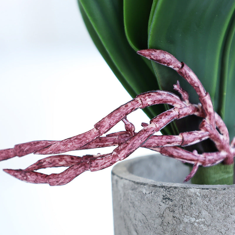 Bulk Artificial Phalaenopsis Orchid Leaves Real Latex Touch Plants Wholesale