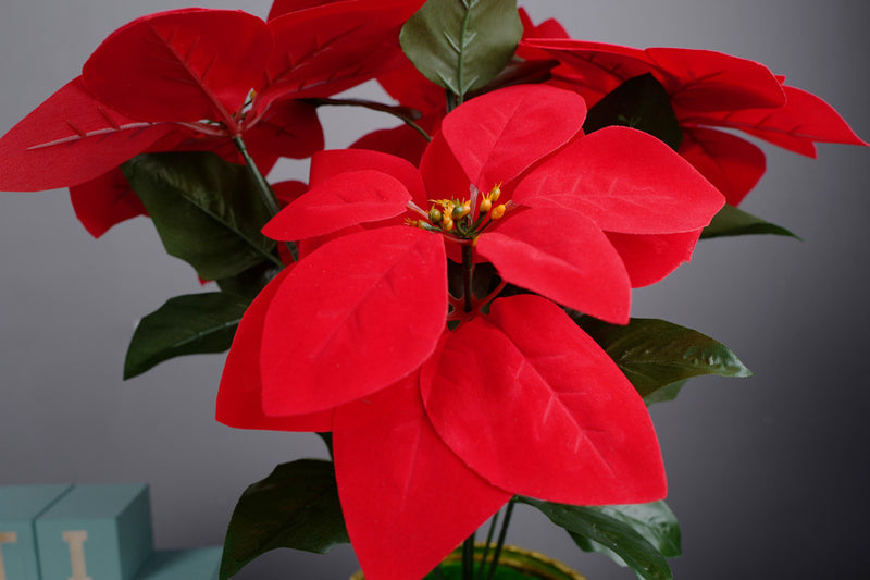 Bulk Exclusive 20" Potted Red Poinsettia Flowers Vase Arrangements Wholesale